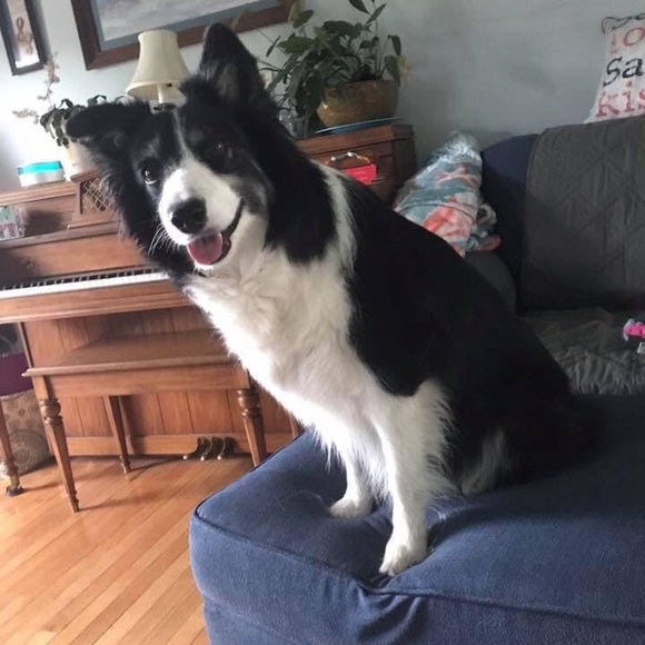 Meet your Posher, Kim - Picture 13 of 14